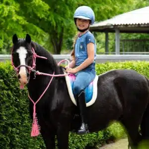 Toque réversible pour casque Rosalynn QHP 5668 bleu Collection SS26 Sellerie Equinoxe Shop