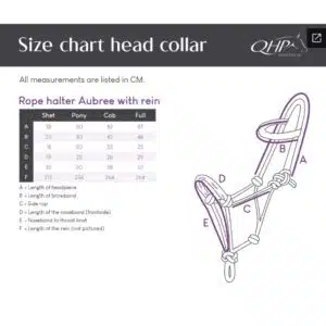 guide des tailles Licol éthologique avec rênes Aubree COLLECTION MISTY BLUE reference 1215 QHP SS26 Sellerie Equinoxe Shop Fuveau