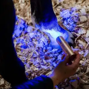 Baguette de Thérapie par Lumière Rouge LED Horseware poney et cheval Sellerie Equinoxe Shop Fuveau unité Baguette de Thérapie par Lumière Rouge LED Horseware poney et cheval Sellerie Equinoxe Shop Fuveau unité