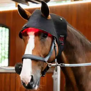 Bonnet de Thérapie par Lumière Rouge LED Horseware TLHNT1 KK00 FU Sellerie Equinoxe Shop Fuveau Bonnet de Thérapie par Lumière Rouge LED Horseware TLHNT1 KK00 FU Sellerie Equinoxe Shop Fuveau