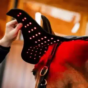 Bonnet de thérapie par Lumière Rouge LED Horseware TLHNT1 KK00 FU Sellerie Equinoxe Fuveau Bonnet de thérapie par Lumière Rouge LED Horseware TLHNT1 KK00 FU Sellerie Equinoxe Fuveau