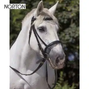 Bridon cheval de trait NORTON EK PERCHERON CHEVAl 301998 Sellerie Equinoxe Shop Bridon cheval de trait NORTON EK PERCHERON CHEVAl 301998 Sellerie Equinoxe Shop