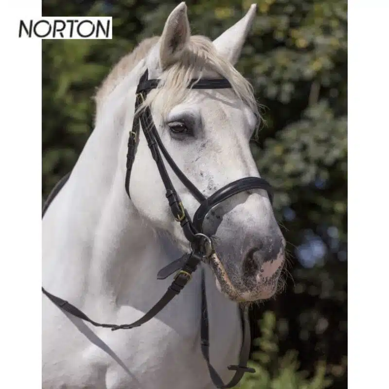Bridon cheval de trait NORTON EK PERCHERON CHEVAl 301998 Sellerie Equinoxe Shop