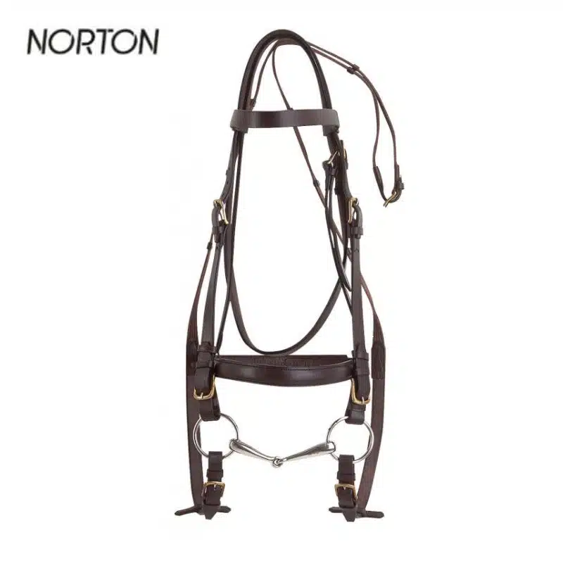 Bridon cheval de trait havane NORTON EK PERCHERON CHEVAl 301998018 Sellerie Equinoxe Shop Fuveau