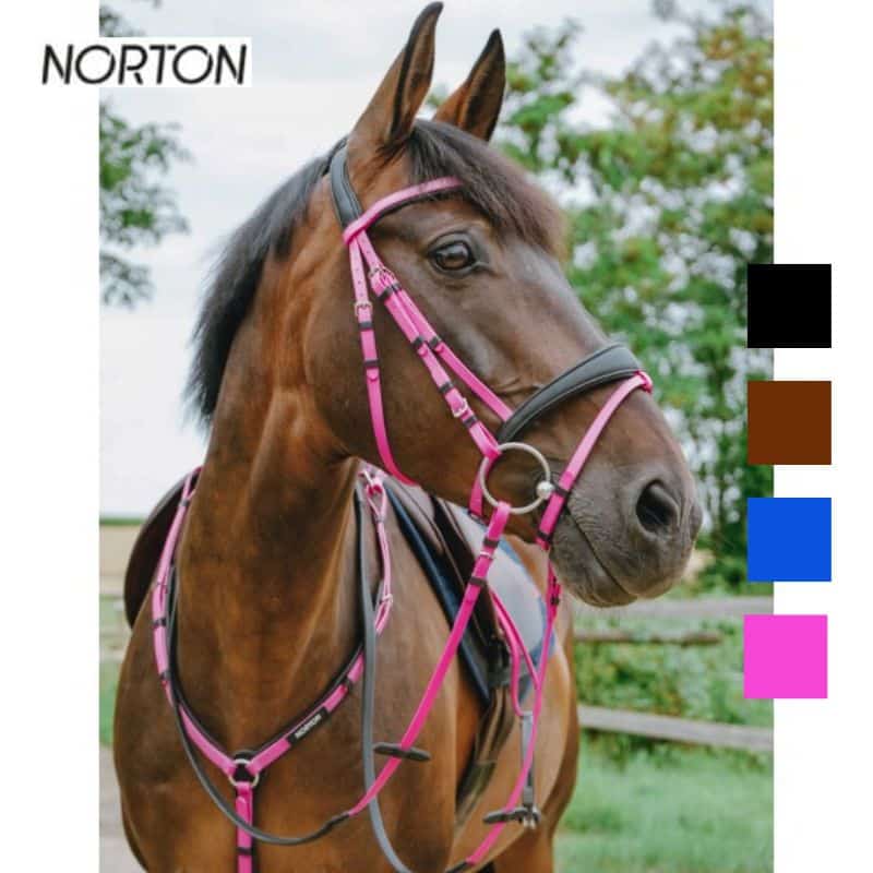 Bridon endurance NORTON EK POP 301928 Sellerie Equinoxe Shop