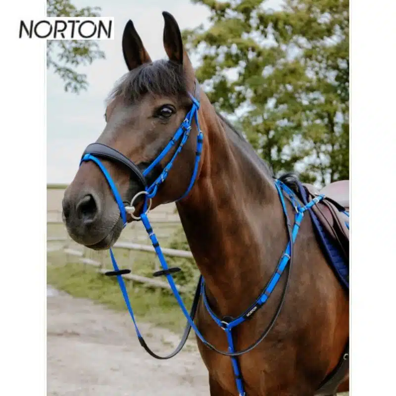 Bridon endurance NORTON EK POP BLEU ROI 301928 Sellerie Equinoxe Shop