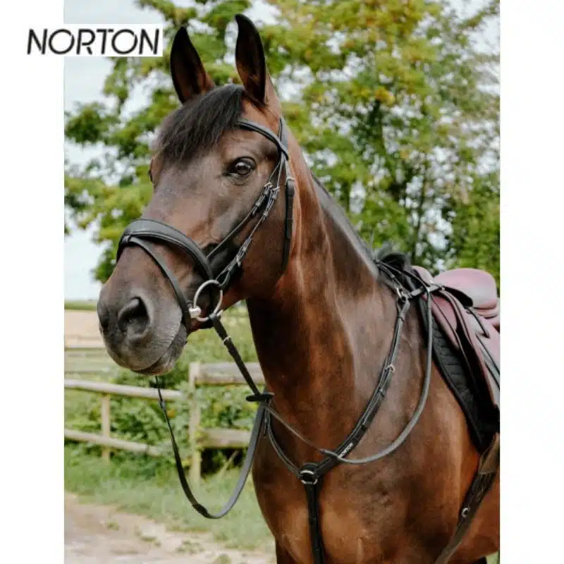Bridon endurance NORTON EK POP ROSE 301928 Sellerie Equinoxe