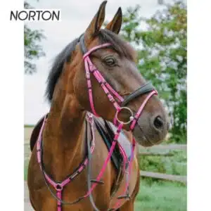 Bridon endurance NORTON EK POP ROSE 301928 Sellerie Equinoxe Shop Bridon endurance NORTON EK POP ROSE 301928 Sellerie Equinoxe Shop