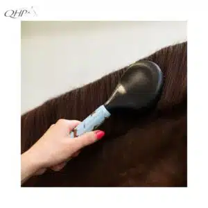 Brosse à crins Collection SS26 Stable buddy Dachshund Teckel QHP Sellerie Equinoxe Shop