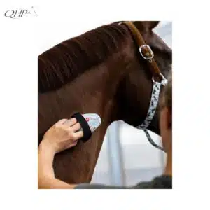 Brosse douce Collection SS26 Stable buddy Dachshund Teckel QHP Sellerie Equinoxe Shop