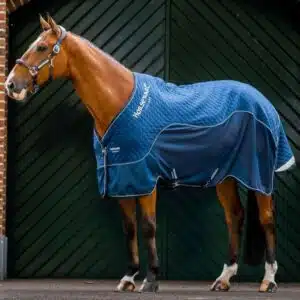 Chemise Séchante Mesh Signature Horseware Sellerie Equinoxe Shop Fuveau