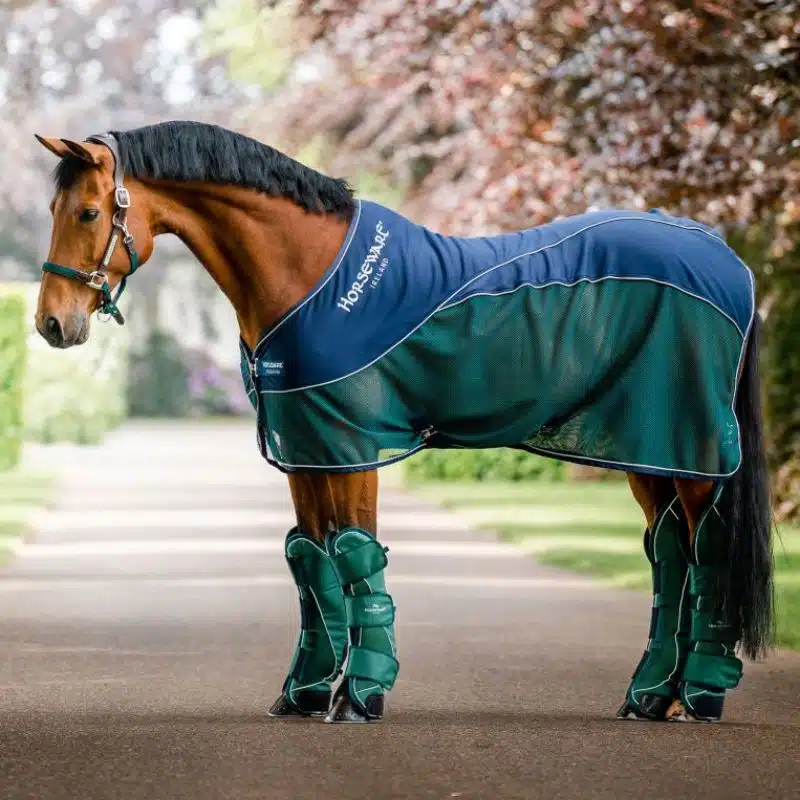 Chemise Séchante Series Signature Sport nid d'abeilles Horseware ACHHMJNAGR Sellerie Equinoxe Shop SS26