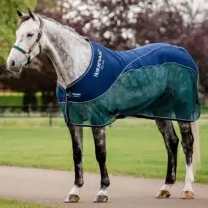Chemise Séchante Signature Sport nid d'abeilles Horseware ACHHMJNAGR Sellerie Equinoxe Shop SS26 Chemise Séchante Signature Sport nid d'abeilles Horseware ACHHMJNAGR Sellerie Equinoxe Shop SS26