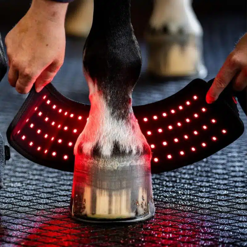 Cloche Mini Guêtre de Thérapie par Lumière Rouge LED Horseware cheval Sellerie Equinoxe Shop