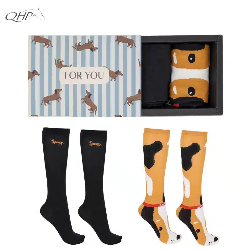 Coffret cadeau Chaussettes d'équitation Collection SS26 Stable buddy Dachshund Teckel QHP 7359 Sellerie Equinoxe Shop Coffret cadeau Chaussettes d'équitation Collection SS26 Stable buddy Dachshund Teckel QHP 7359 Sellerie Equinoxe Shop