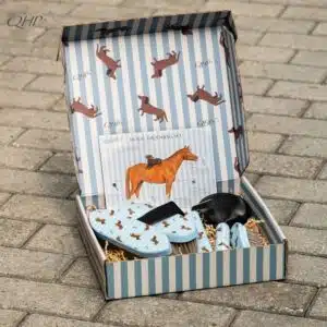 Coffret de pansage Collection SS26 Stable buddy Dachshund Teckel QHP 5690 Sellerie Equinoxe Shop Fuveau Coffret de pansage Collection SS26 Stable buddy Dachshund Teckel QHP 5690 Sellerie Equinoxe Shop Fuveau