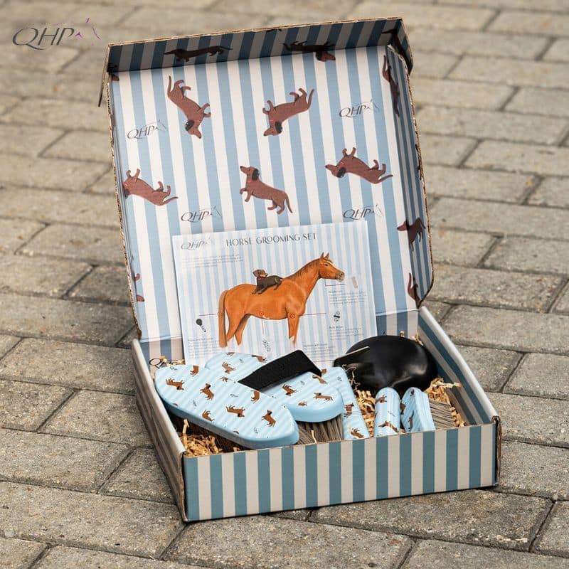 Coffret de pansage Collection SS26 Stable buddy Dachshund Teckel QHP 5690 Sellerie Equinoxe Shop Fuveau