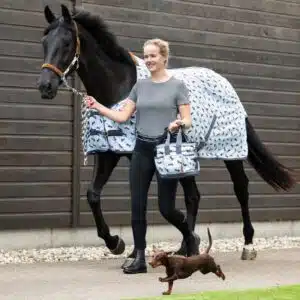 Collection SS26 Stable buddy Dachshund Teckel QHP 5684 Sellerie Equinoxe Shop Collection SS26 Stable buddy Dachshund Teckel QHP 5684 Sellerie Equinoxe Shop