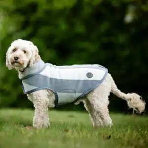 Couverture Polaire Newmarket Gris pour Chien Horseware Sellerie Equinoxe Shop Couverture Polaire Newmarket Gris pour Chien Horseware Sellerie Equinoxe Shop