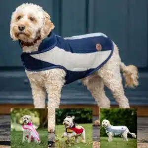 Couverture Polaire Newmarket pour Chien Horseware Sellerie Equinoxe Shop Couverture Polaire Newmarket pour Chien Horseware Sellerie Equinoxe Shop
