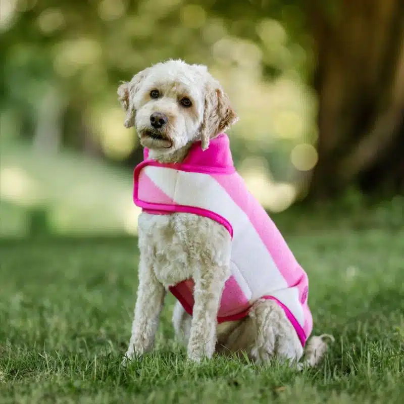 Couverture Polaire Newmarket rose pour Chien Horseware Sellerie Equinoxe Shop