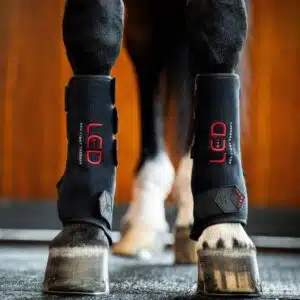 Guêtre de Thérapie par Lumière Rouge LED Horseware cheval Sellerie Equinoxe Shop Guêtre de Thérapie par Lumière Rouge LED Horseware cheval Sellerie Equinoxe Shop