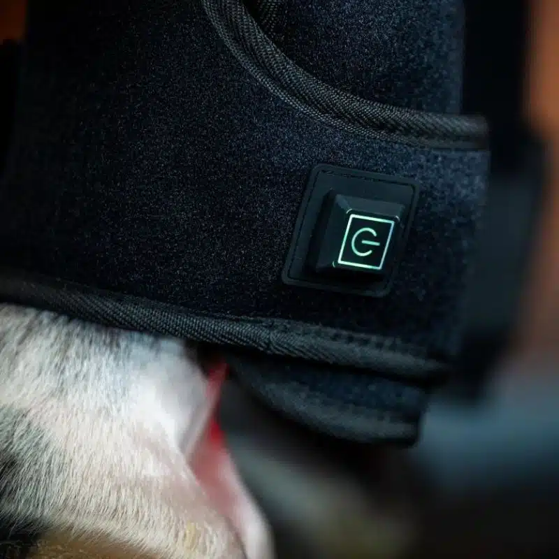 Guêtre de Thérapie par Lumière Rouge LED Horseware cheval Sellerie Equinoxe Shop Fuveau detail