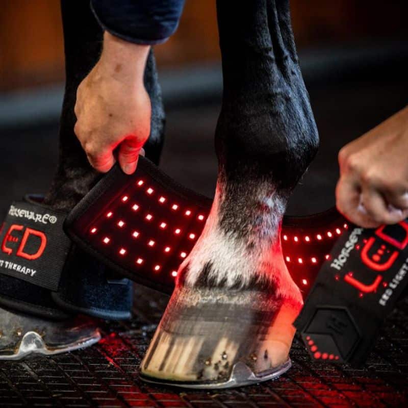 Mini Guêtre de Thérapie par Lumière Rouge LED Horseware poney et cheval Sellerie Equinoxe Shop Fuveau