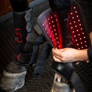 Guêtre de Thérapie par Lumière Rouge LED Horseware poney et cheval Sellerie Equinoxe Shop Fuveau