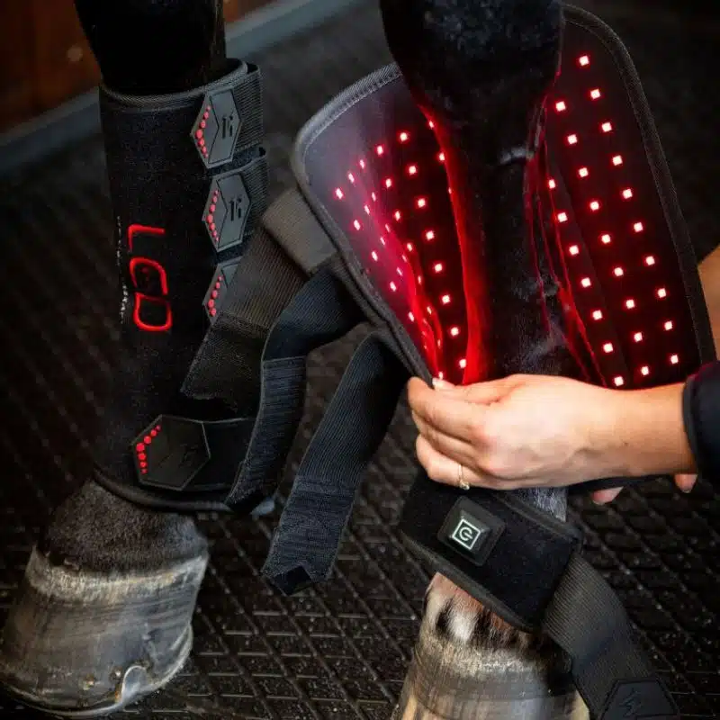 Guêtre de Thérapie par Lumière Rouge LED Horseware poney et cheval Sellerie Equinoxe Shop Fuveau