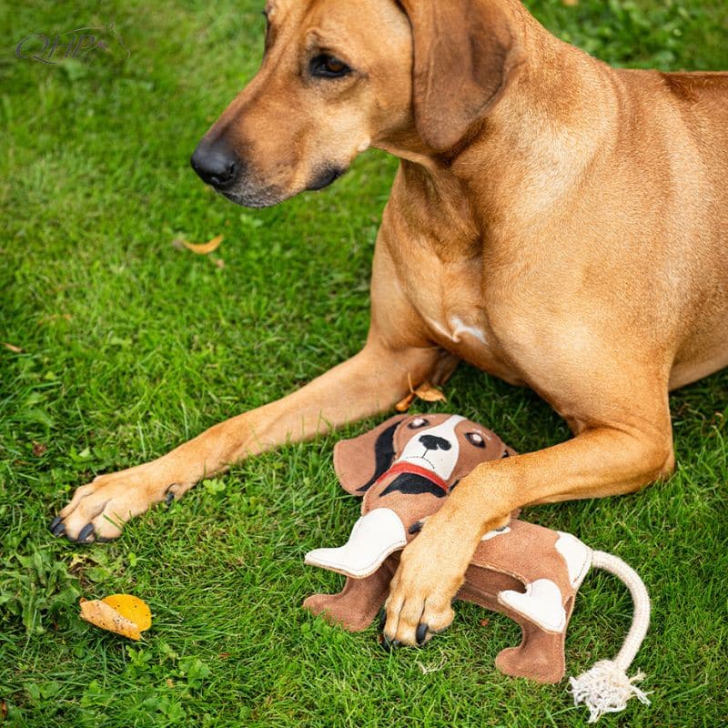 Jouets pour chien Collection SS26 Stable buddy Dachshund Teckel QHP 5688 Cheval Sellerie Equinoxe Shop