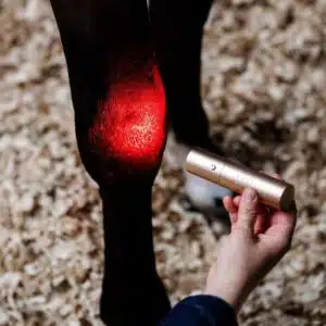 Lampe Baguette de Thérapie par Lumière Rouge LED Horseware articulation enflammée poney et cheval Sellerie Equinoxe Shop Fuveau unité Lampe Baguette de Thérapie par Lumière Rouge LED Horseware articulation enflammée poney et cheval Sellerie Equinoxe Shop Fuveau unité