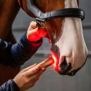 Lampe de Thérapie par Lumière Rouge LED Horseware inflammation poney et cheval Sellerie Equinoxe Shop Fuveau unité Lampe de Thérapie par Lumière Rouge LED Horseware inflammation poney et cheval Sellerie Equinoxe Shop Fuveau unité