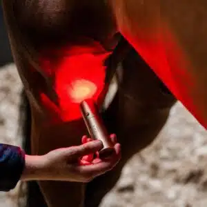 Lampe de Thérapie par Lumière Rouge LED Horseware soins jarrets poney et cheval Sellerie Equinoxe Shop Fuveau unité Lampe de Thérapie par Lumière Rouge LED Horseware soins jarrets poney et cheval Sellerie Equinoxe Shop Fuveau unité