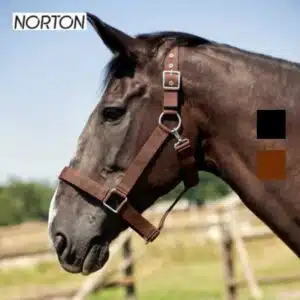 Licol cheval de trait NORTON EK CHEVAl 510194 Sellerie Equinoxe Shop Fuveau Licol cheval de trait NORTON EK CHEVAl 510194 Sellerie Equinoxe Shop Fuveau
