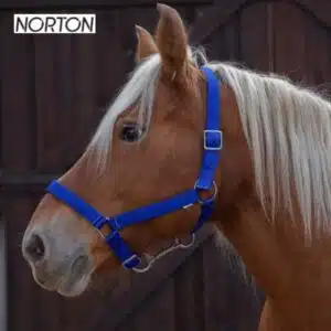 Licol cheval de trait rouge NORTON EK CHEVAl 510194 Sellerie Equinoxe Shop Fuveau Licol cheval de trait rouge NORTON EK CHEVAl 510194 Sellerie Equinoxe Shop Fuveau