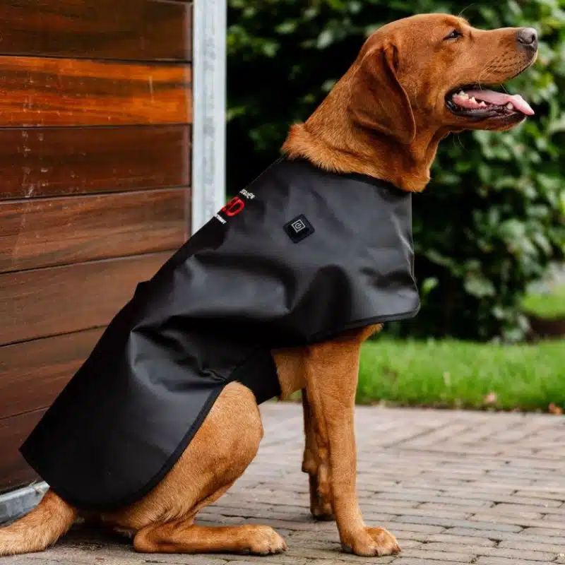 Manteau de Thérapie par Lumière Rouge LED pour Animaux de Compagnie Chien Horseware Sellerie Equinoxe Shop