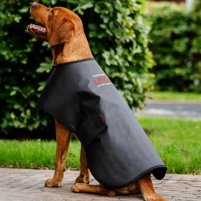 Manteau de Thérapie par Lumière Rouge LED pour Animaux de Compagnie Horseware TLHNT1 KK00 FU Sellerie Equinoxe Shop Fuveau