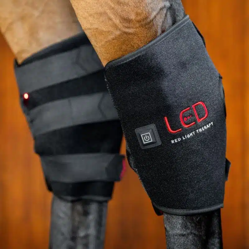 Protège-Jarret Guêtre de Thérapie par Lumière Rouge LED Horseware poney et cheval Sellerie Equinoxe Shop Fuveau unité