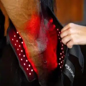 Protège-Jarret de Thérapie par Lumière Rouge LED Horseware cheval Sellerie Equinoxe Shop Protège-Jarret de Thérapie par Lumière Rouge LED Horseware cheval Sellerie Equinoxe Shop