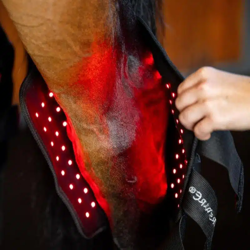 Protège-Jarret de Thérapie par Lumière Rouge LED Horseware cheval Sellerie Equinoxe Shop