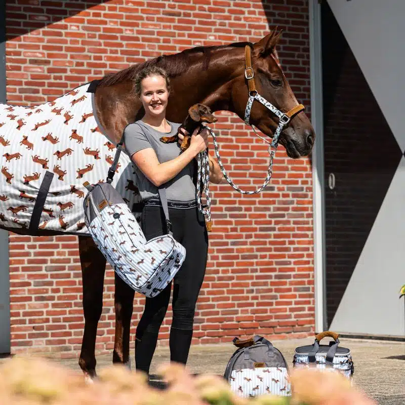 Sac à bottes Stable buddy Dachshund Teckel QHP 5683 SS26 Sellerie Equinoxe Shop Fuveau Sac à bottes Stable buddy Dachshund Teckel QHP 5683 SS26 Sellerie Equinoxe Shop Fuveau