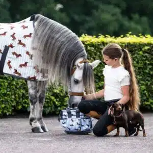 Sac à brosses Collection SS26 Stable buddy Dachshund Teckel QHP 5684 Sellerie Equinoxe Shop Fuveau Sac à brosses Collection SS26 Stable buddy Dachshund Teckel QHP 5684 Sellerie Equinoxe Shop Fuveau