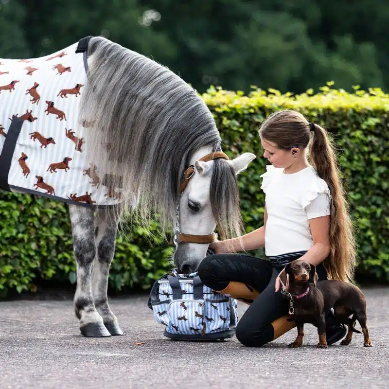 Sac à brosses Collection SS26 Stable buddy Dachshund Teckel QHP 5684 Sellerie Equinoxe Shop Fuveau Sac à brosses Collection SS26 Stable buddy Dachshund Teckel QHP 5684 Sellerie Equinoxe Shop Fuveau