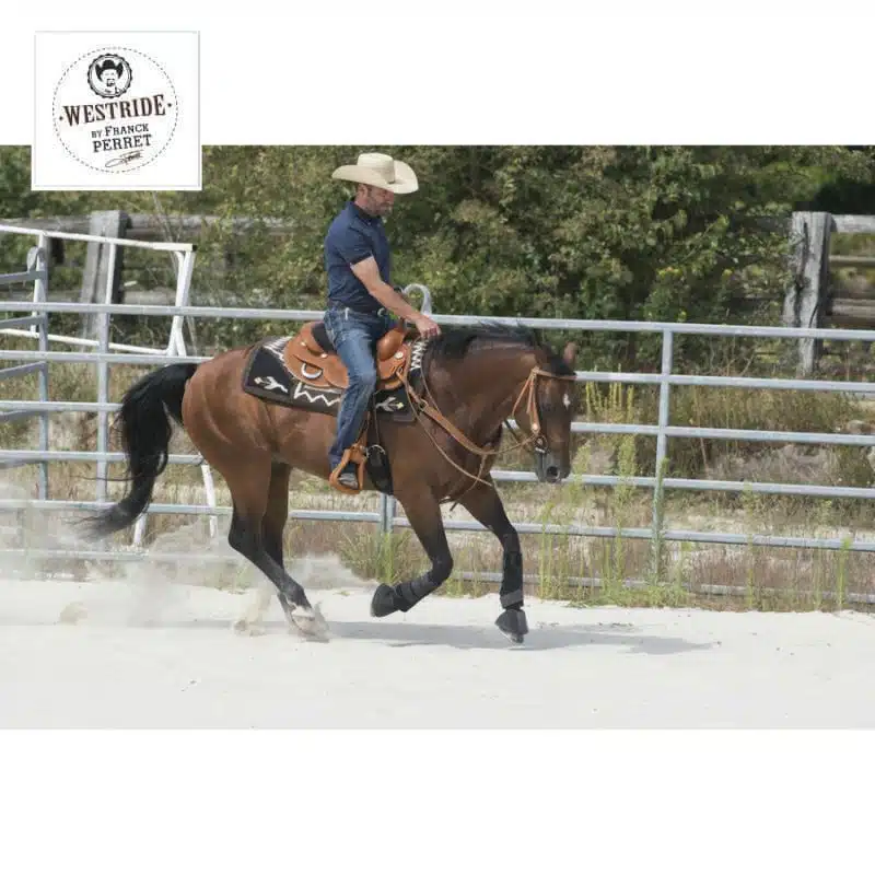 Selle WESTRIDE by Franck Perret EK Aurora 800043 noisette Sellerie Equinoxe Shop