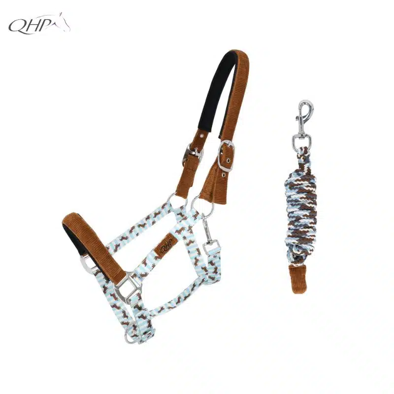 Set Licol avec longe Collection SS26 Stable buddy Dachshund Teckel QHP 1222 Sellerie Equinoxe Shop Set Licol avec longe Collection SS26 Stable buddy Dachshund Teckel QHP 1222 Sellerie Equinoxe Shop