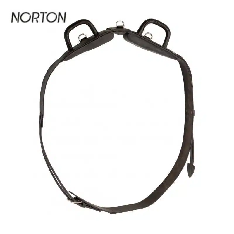Surfaix de voltige NORTON CLUB à poignées fermées cheval poney 401059 401060 Sellerie Equinoxe Shop