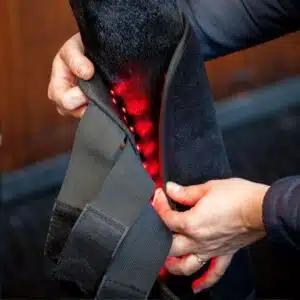 Technologie innovante Guêtre de Thérapie par Lumière Rouge LED Horseware cheval Sellerie Equinoxe Shop Fuveau Technologie innovante Guêtre de Thérapie par Lumière Rouge LED Horseware cheval Sellerie Equinoxe Shop Fuveau