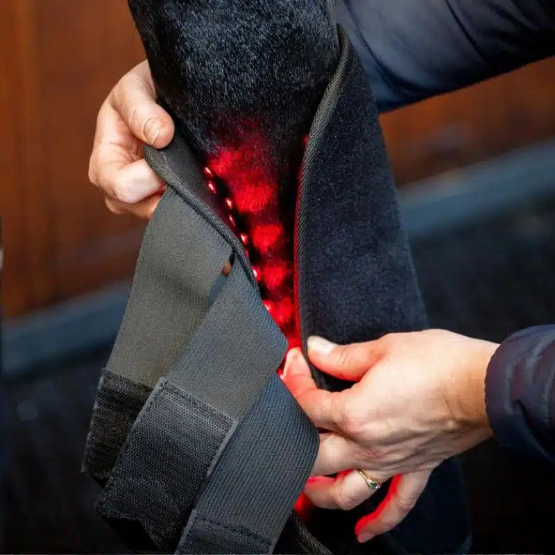 Technologie innovante Guêtre de Thérapie par Lumière Rouge LED Horseware cheval Sellerie Equinoxe Shop Fuveau