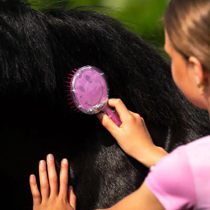 brosse crinière Rosalynn QHP 5662 SS26 Sellerie Equinoxe Shop Fuveau